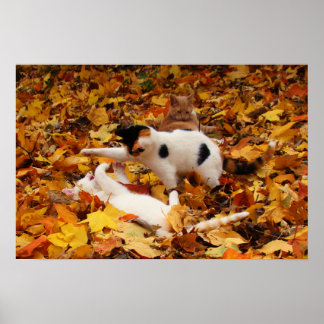 Three in the Leaves Poster