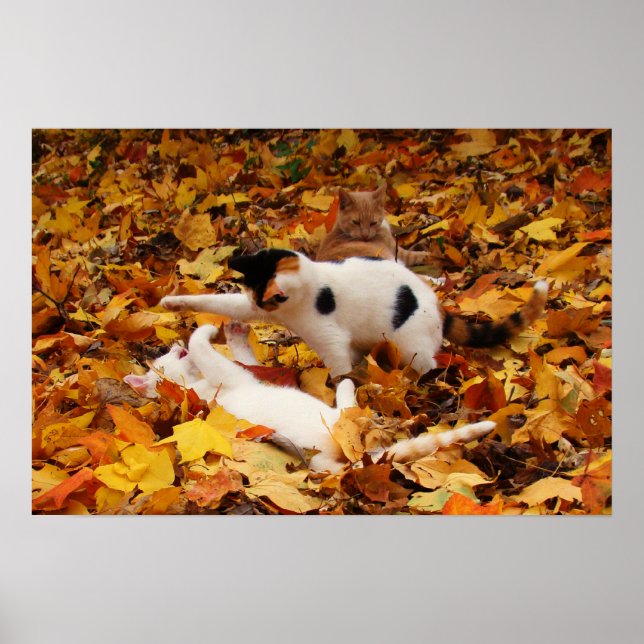 Three in the Leaves Poster (Front)