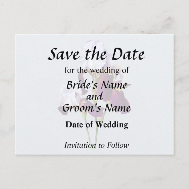 Three Irises in Shades of Magenta Announcement Postcard (Front)