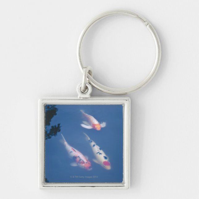 Three Japanese koi fish in pond Key Ring (Front)