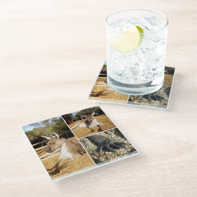 Three Kangaroo Images Collage, Glass Coaster (Angled)
