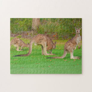three kangaroos jigsaw puzzle