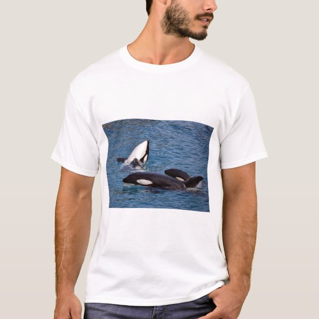 Three killer whales T-Shirt (Front)
