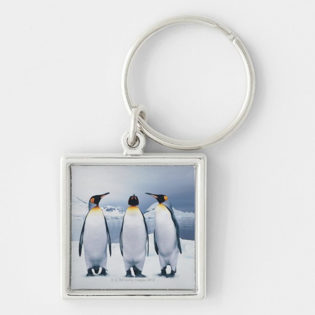 Three King Penguins Key Ring (Front)