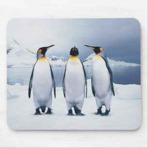 Three King Penguins Mouse Mat