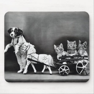 Three Kitten Pony Ride Mouse Mat