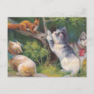 "Three Kittens and a Squirrel" Vintage Postcard