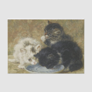 Three Kittens by Henriette Ronner-Knip Tissue Paper
