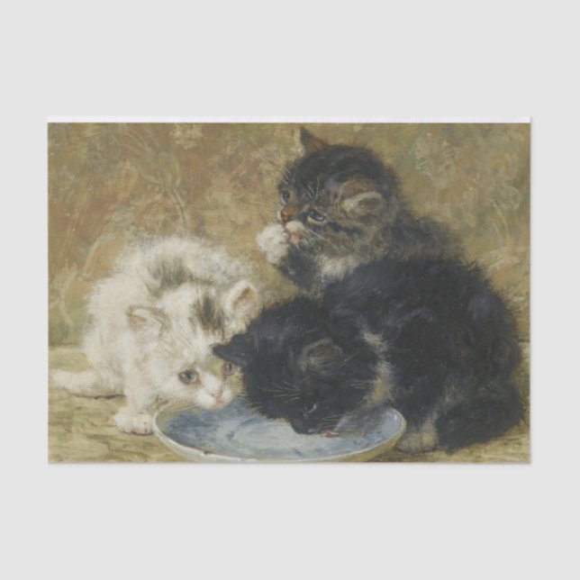 Three Kittens by Henriette Ronner-Knip Tissue Paper (Front)
