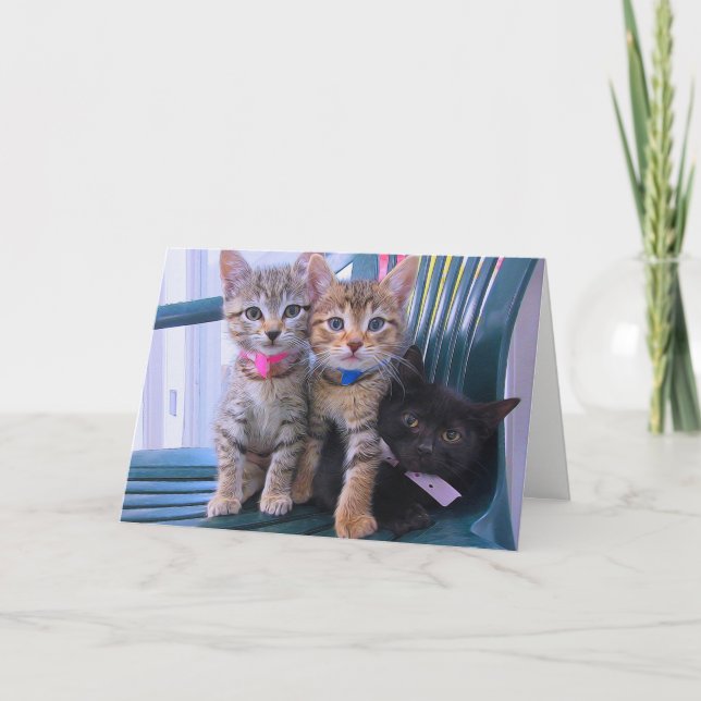 Three kittens card (Front)