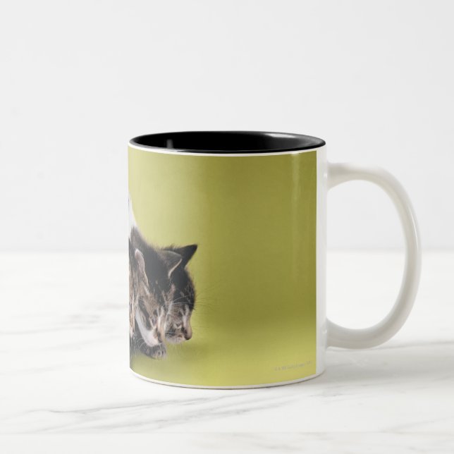 Three kittens hugging each other Two-Tone coffee mug (Right)