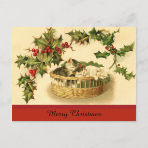 Three Kittens in a Basket Postcard