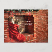 Three kittens in a Christmas Stocking