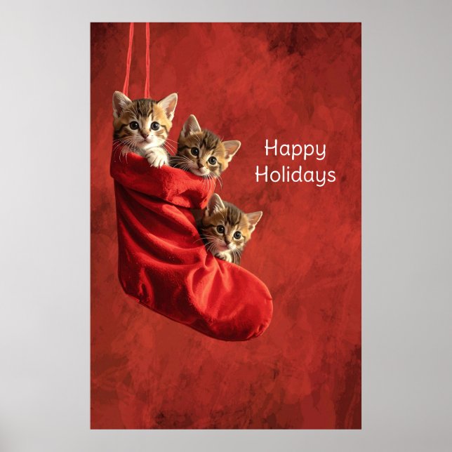 Three kittens in a Christmas Stocking Poster (Front)