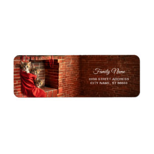 Three kittens in a Red Stocking Return Address