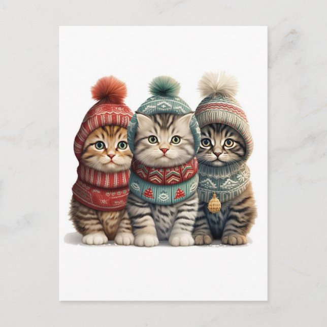 Three Kittens in Sweaters Postcard (Front)
