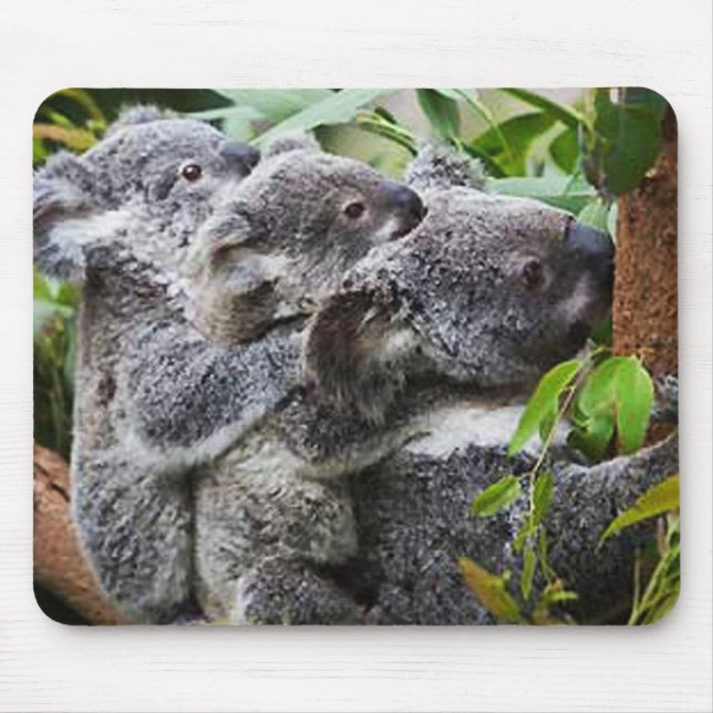 Three Koala's in a Tree Mouse Mat (Front)