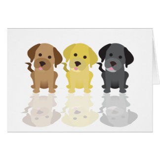 Three Labrador Retrievers