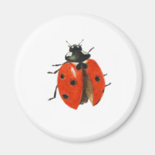 Three ladybirds 2013 magnet