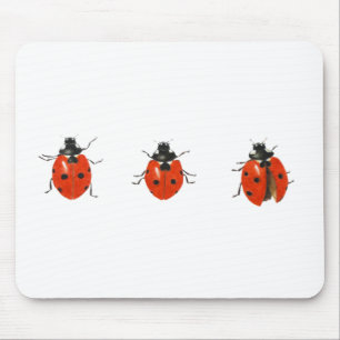 Three ladybirds 2013 mouse mat