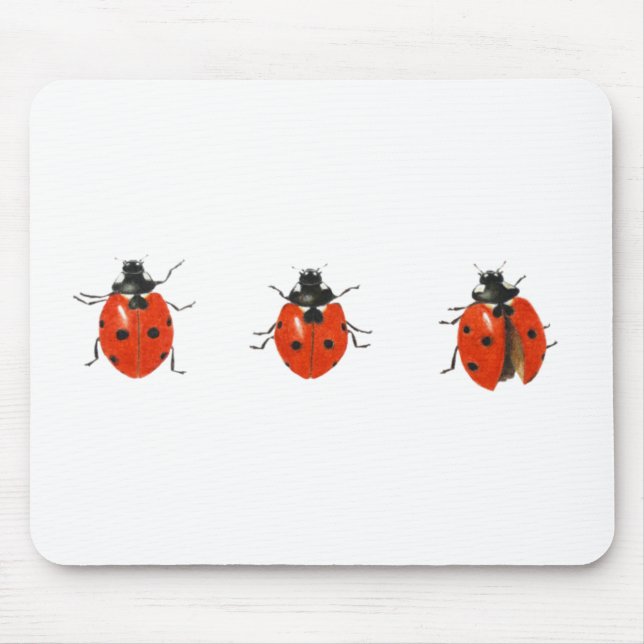 Three ladybirds 2013 mouse mat (Front)