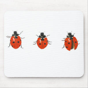 Three ladybirds 2013 mouse mat
