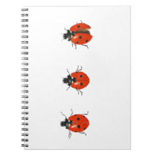 Three ladybirds 2013 notebook