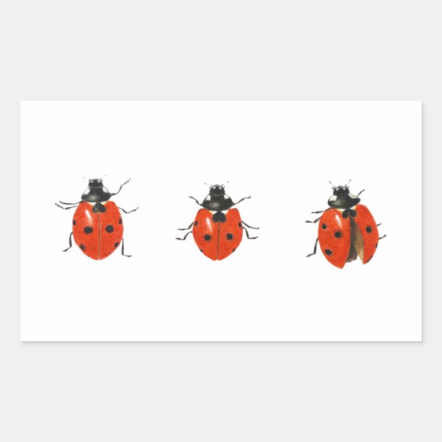 Three ladybirds 2013 rectangular sticker (Front)