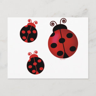 Three Ladybugs Postcard