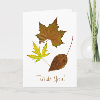 Three Leaves Template Greeting