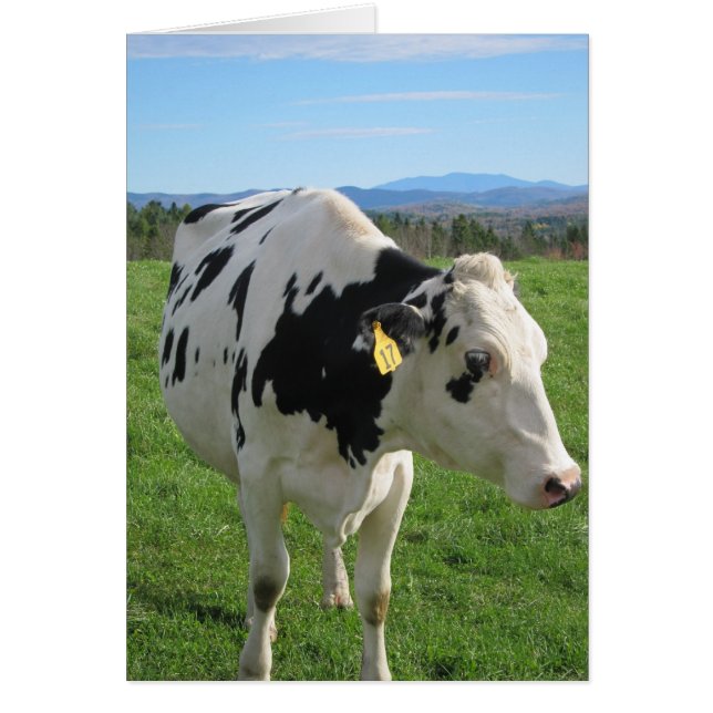 Three Legged Cow 5x7 (Front)