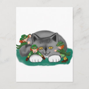 Three Leprechauns and a Kitten are Friends Postcard