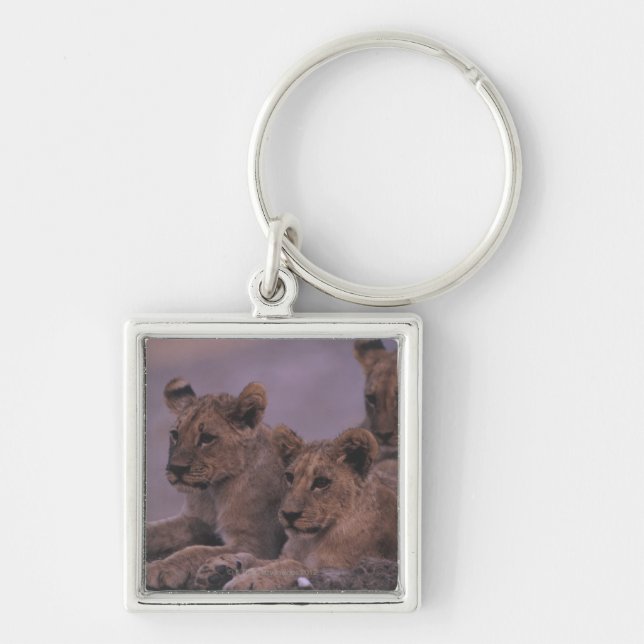 Three Lion Cubs Key Ring (Front)