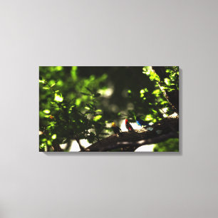 Three Little Birds Canvas Print