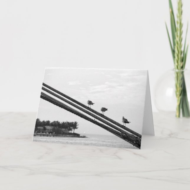 Three Little Birds ~ Vacation Thank You Card (Front)