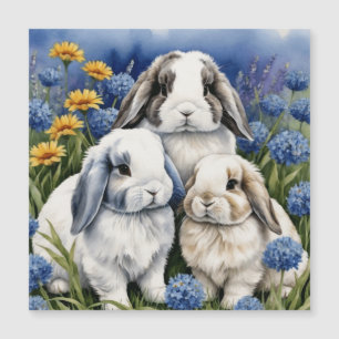 Three Little Lop Bunny Rabbits