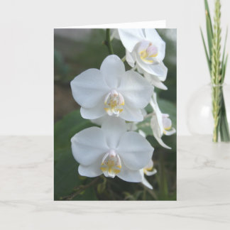 Three Little Maids Greeting Card