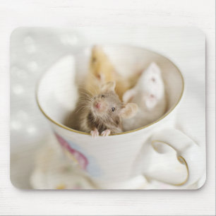 Three Little Mice Mouse Mat