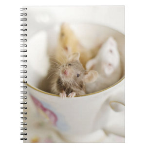 Three Little Mice Notebook