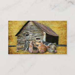 Three Little Pigs At The Rustic Barn Snoozing Business Card