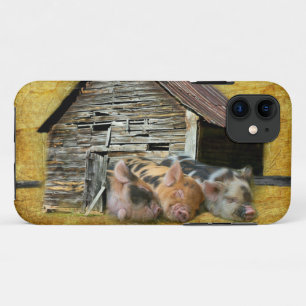 Three Little Pigs At The Rustic Barn Snoozing iPhone 11 Case