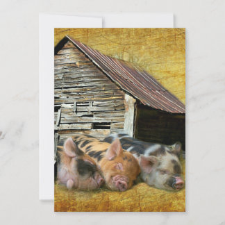Three Little Pigs At The Rustic Barn Snoozing Invitation
