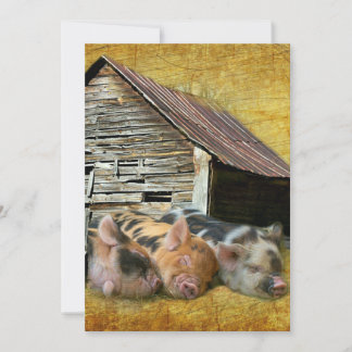 Three Little Pigs At The Rustic Barn Snoozing Invitation