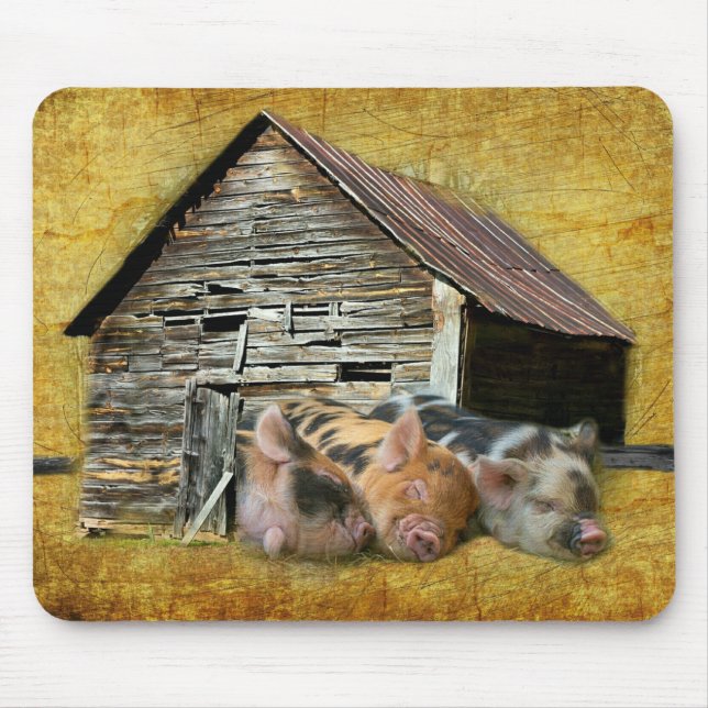 Three Little Pigs At The Rustic Barn Snoozing Mouse Mat (Front)