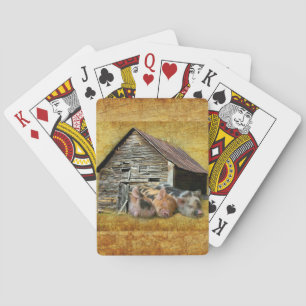 Three Little Pigs At The Rustic Barn Snoozing Playing Cards