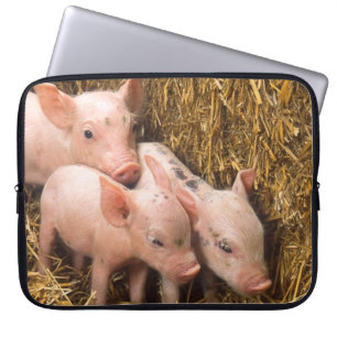 Three Little Pigs Laptop Sleeve
