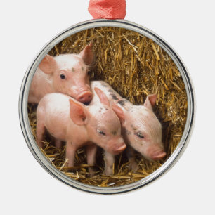 Three Little Pigs Metal Tree Decoration