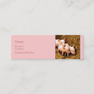 Three Little Pigs Mini Business Card