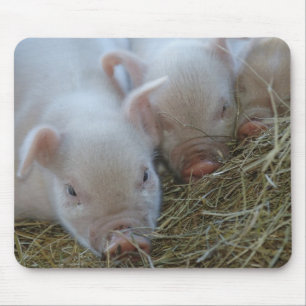 Three Little Pigs Mouse Mat
