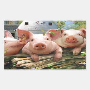 Three Little Pigs Rectangular Sticker